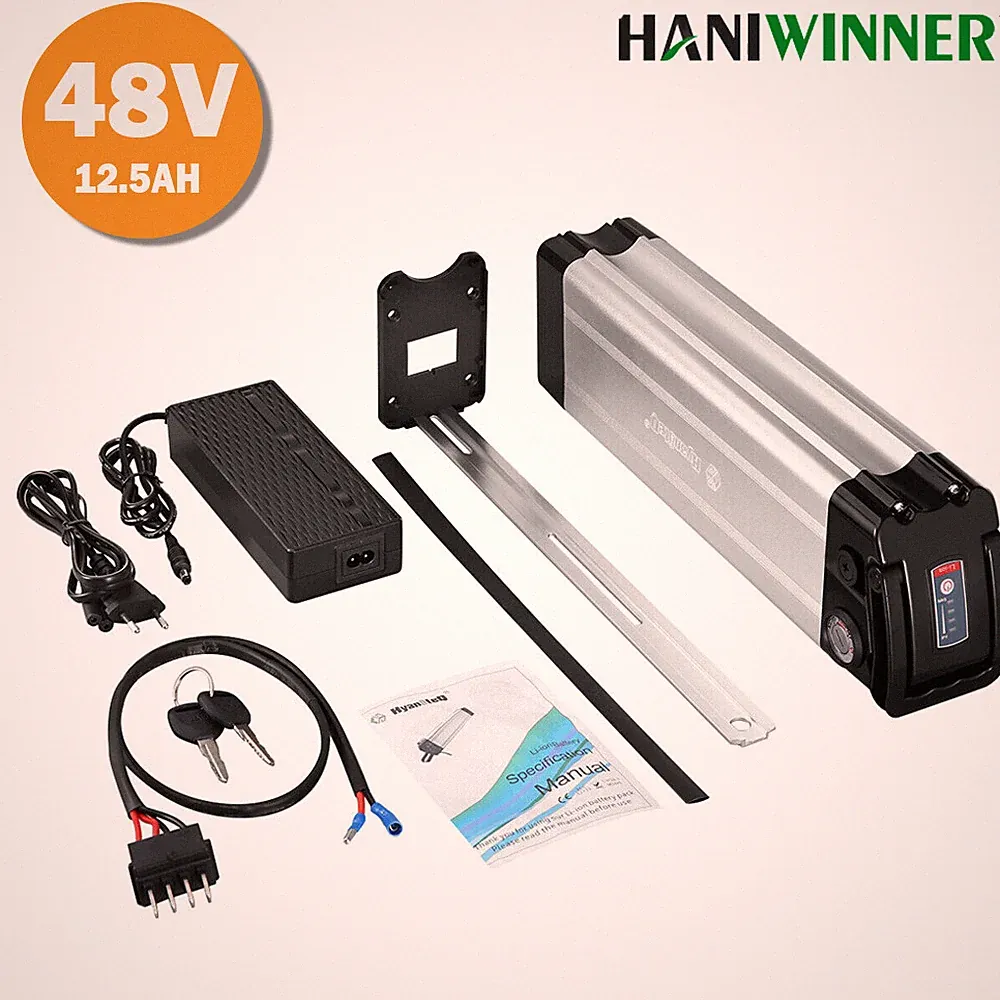 Silverfish E Bike Battery 48V 12.5Ah Lithium Battery Pack 30A BMS for 700W Motor